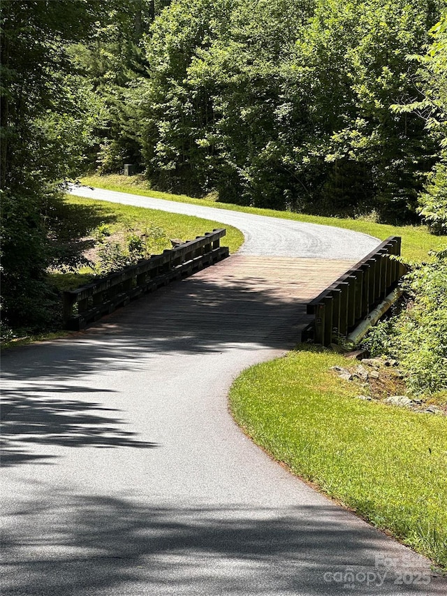 66 Boone Cove Rd, Zirconia, NC 28790 - photo 8