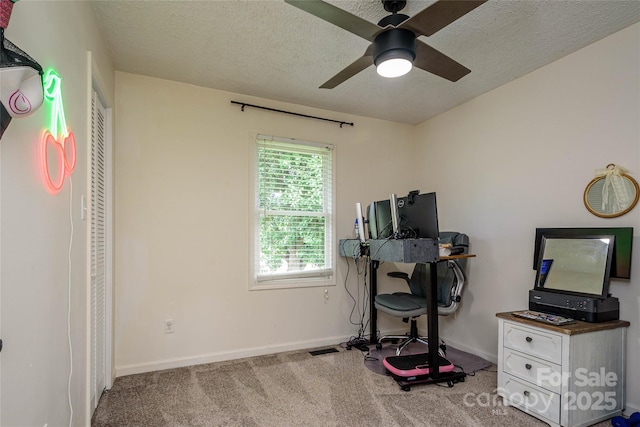 53 Mount Carmel Dr, Asheville, NC 28806 - photo 26