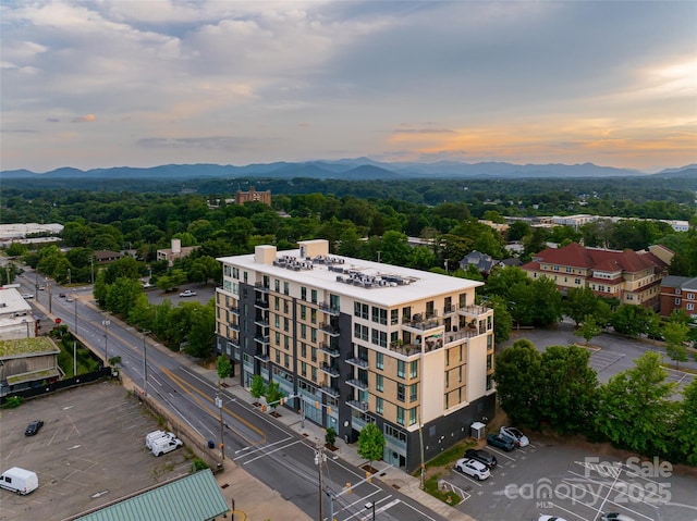 45 Asheland Ave Unit 402, Asheville, NC 28801 - photo 1