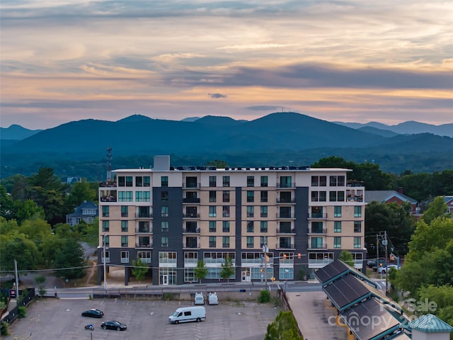45 Asheland Ave Unit 402, Asheville, NC 28801 - photo 4