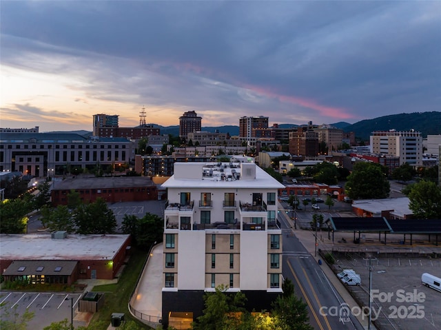45 Asheland Ave Unit 402, Asheville, NC 28801 - photo 6