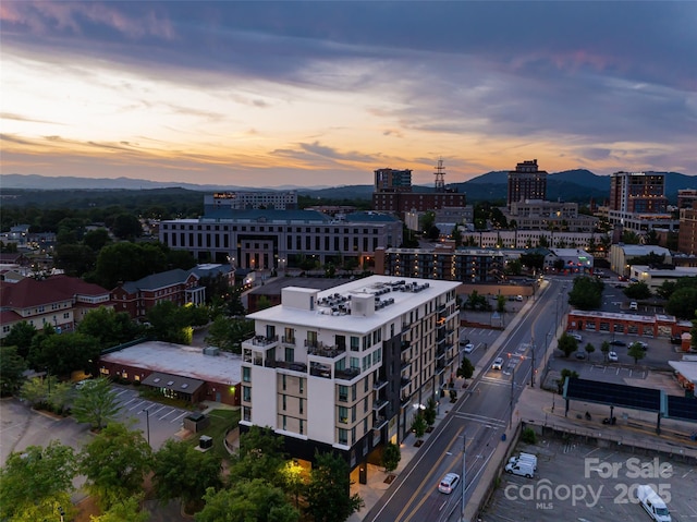 45 Asheland Ave Unit 402, Asheville, NC 28801 - photo 7