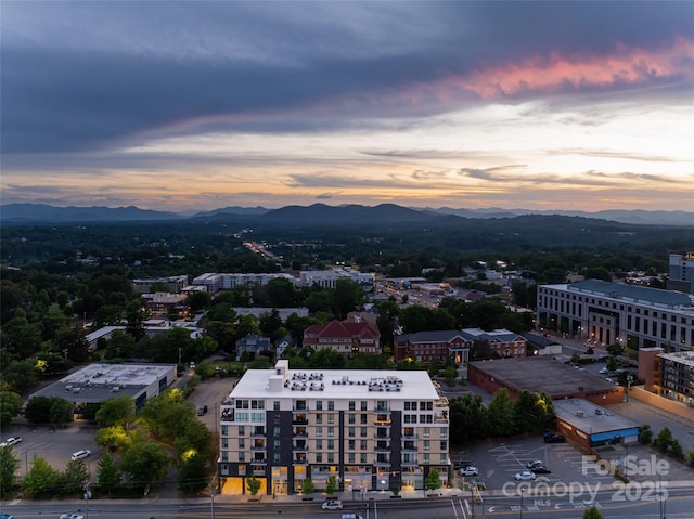 45 Asheland Ave Unit 402, Asheville, NC 28801 - photo 8
