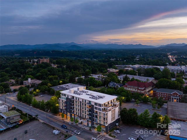 45 Asheland Ave Unit 402, Asheville, NC 28801 - photo 9
