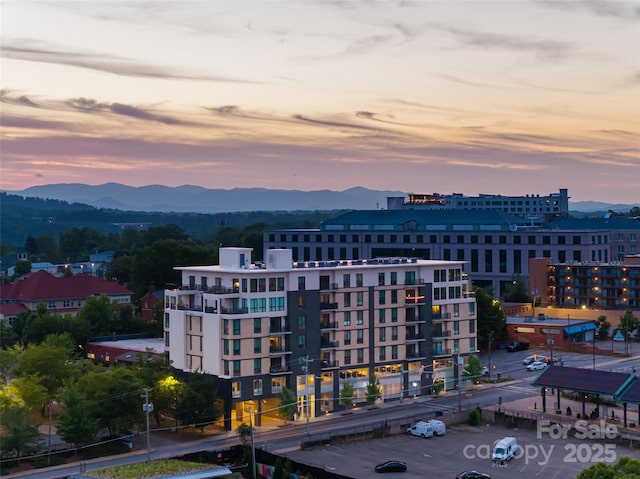 45 Asheland Ave Unit 402, Asheville, NC 28801 - photo 11