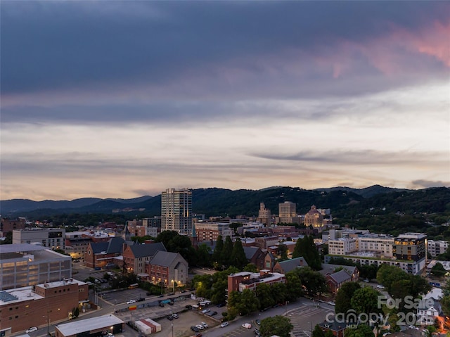 45 Asheland Ave Unit 402, Asheville, NC 28801 - photo 12