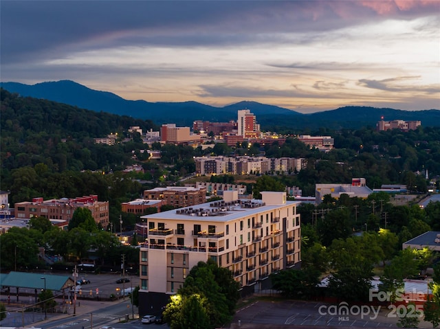45 Asheland Ave Unit 402, Asheville, NC 28801 - photo 15