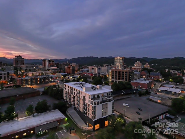 45 Asheland Ave Unit 402, Asheville, NC 28801 - photo 16