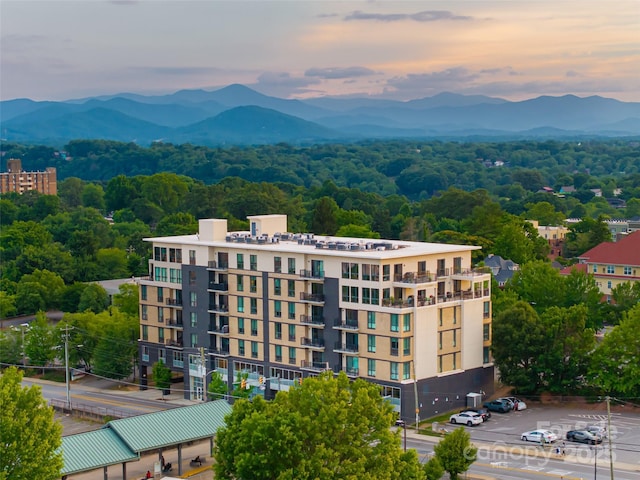 45 Asheland Ave Unit 402, Asheville, NC 28801 - photo 18