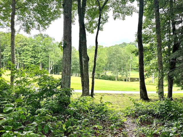 56 First Tee Trl, Cashiers, NC 28717 - photo 2