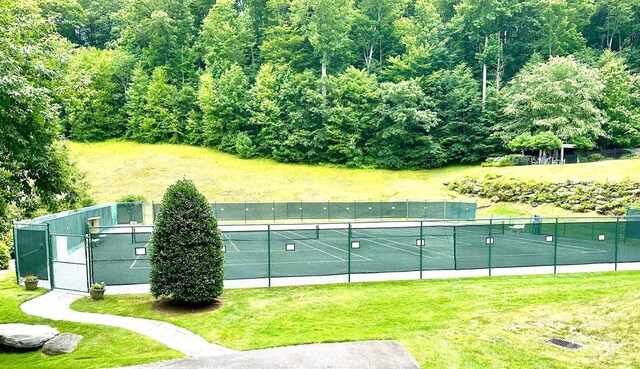 56 First Tee Trl, Cashiers, NC 28717 - photo 34