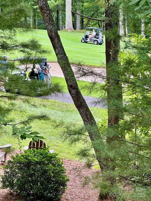 56 First Tee Trl, Cashiers, NC 28717 - photo 35