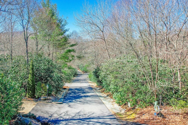LOT24 Red Wolf, Blowing Rock, NC 28605 - photo 2