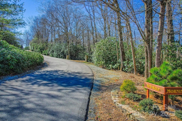 LOT24 Red Wolf, Blowing Rock, NC 28605 - photo 3
