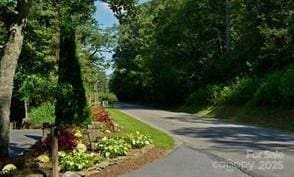 LOT24 Red Wolf, Blowing Rock, NC 28605 - photo 6