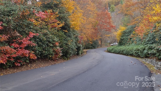 LOT24 Red Wolf, Blowing Rock, NC 28605 - photo 9