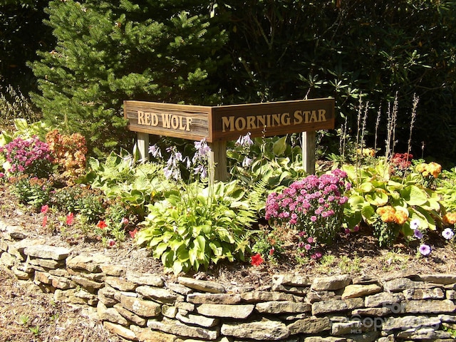 LOT24 Red Wolf, Blowing Rock, NC 28605 - photo 10