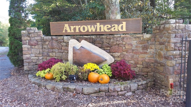 LOT24 Red Wolf, Blowing Rock, NC 28605 - photo 11