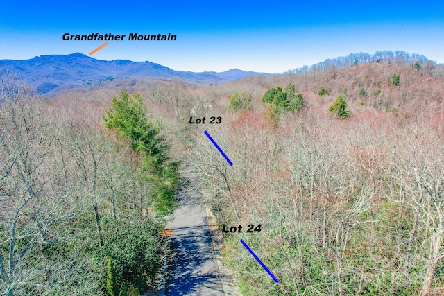 LOT24 Red Wolf, Blowing Rock, NC 28605 - photo 15