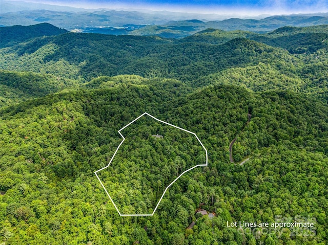 171 Fjord Rd, Rosman, NC 28772 - photo 6