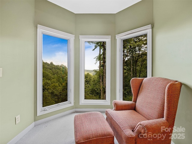 171 Fjord Rd, Rosman, NC 28772 - photo 23