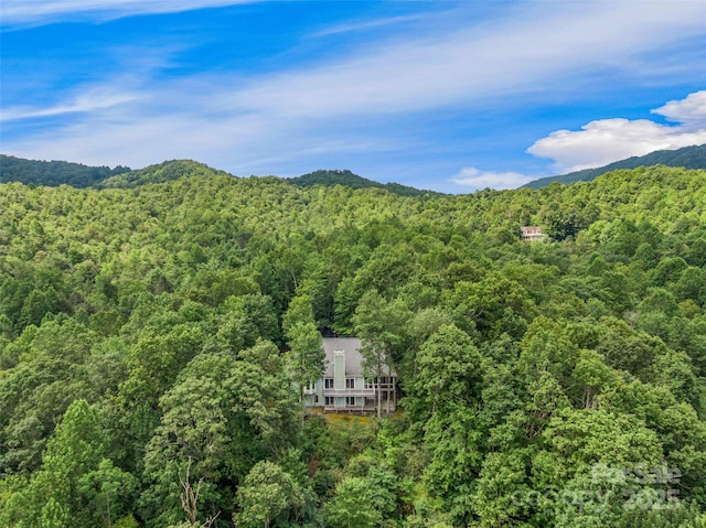 171 Fjord Rd, Rosman, NC 28772 - photo 41