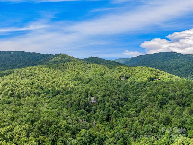 171 Fjord Rd, Rosman, NC 28772 - photo 43