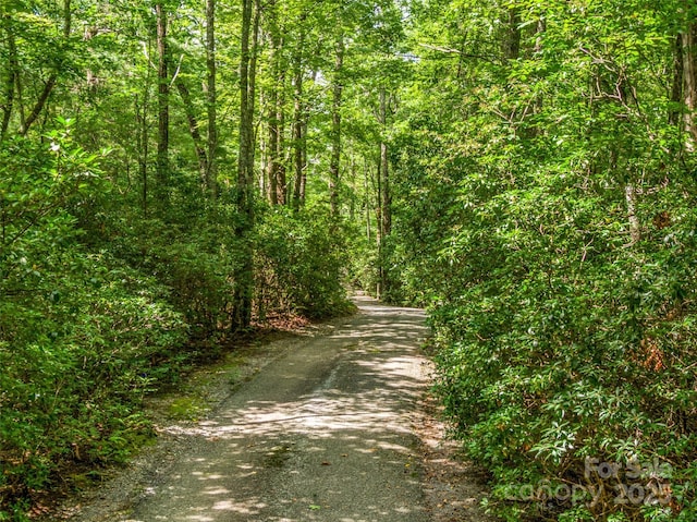 171 Fjord Rd, Rosman, NC 28772 - photo 45