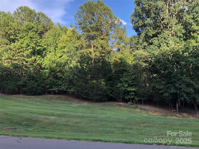 3900 Piaffe Ave Unit 92, Mint Hill, NC 28227 - photo 1