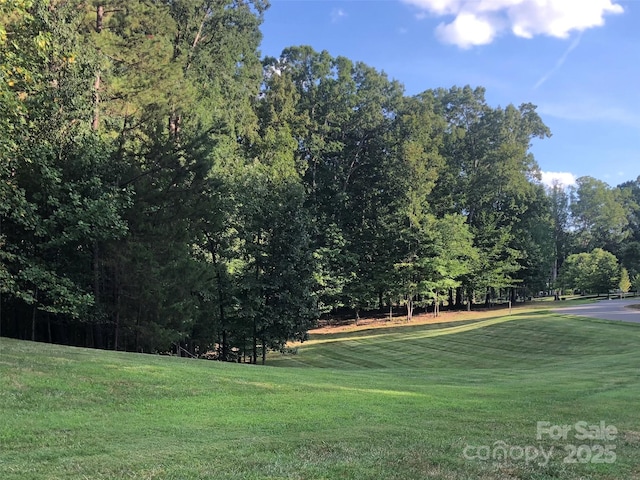 3900 Piaffe Ave Unit 92, Mint Hill, NC 28227 - photo 3