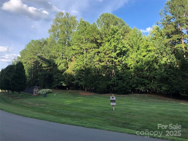 3900 Piaffe Ave Unit 92, Mint Hill, NC 28227 - photo 4