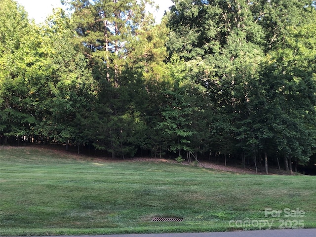 3900 Piaffe Ave Unit 92, Mint Hill, NC 28227 - photo 5
