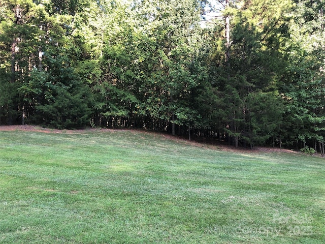 3900 Piaffe Ave Unit 92, Mint Hill, NC 28227 - photo 6