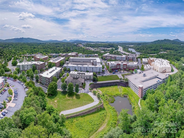 5 Farleigh St Unit 201, Asheville, NC 28803 - photo 38