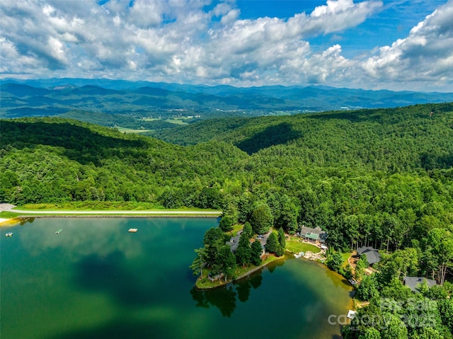 30 Banks Ln, Brevard, NC 28712 - photo 45