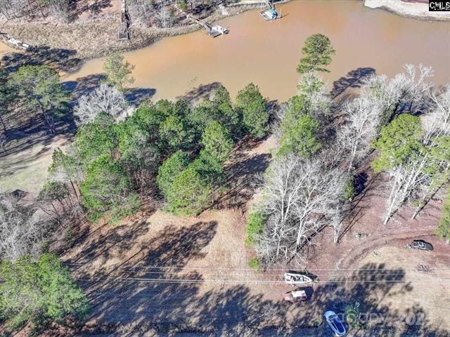 2984 Lake Rd, Ridgeway, SC 29130 - photo 2