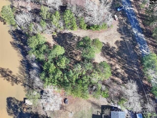 2984 Lake Rd, Ridgeway, SC 29130 - photo 4