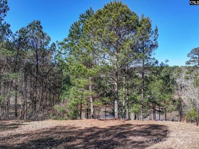 2984 Lake Rd, Ridgeway, SC 29130 - photo 6