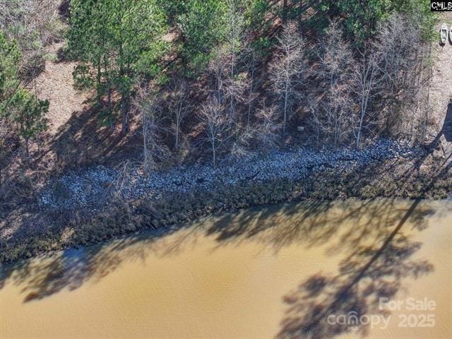 2984 Lake Rd, Ridgeway, SC 29130 - photo 8