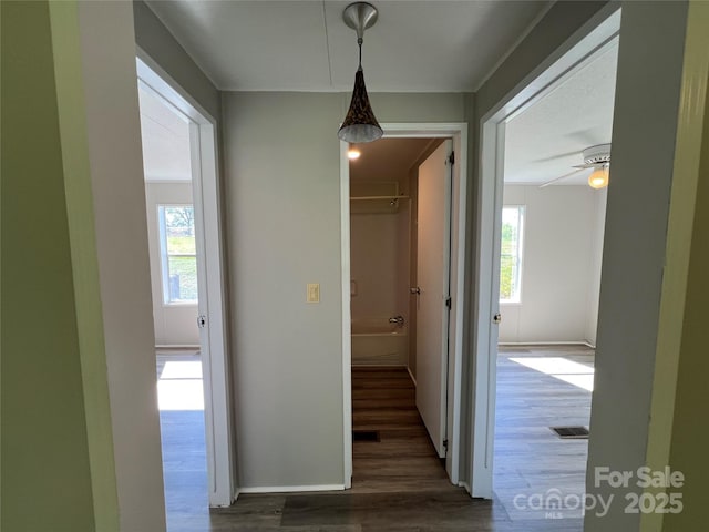 4121 Mining Ridge Church Rd, State Road, NC 28676 - photo 19