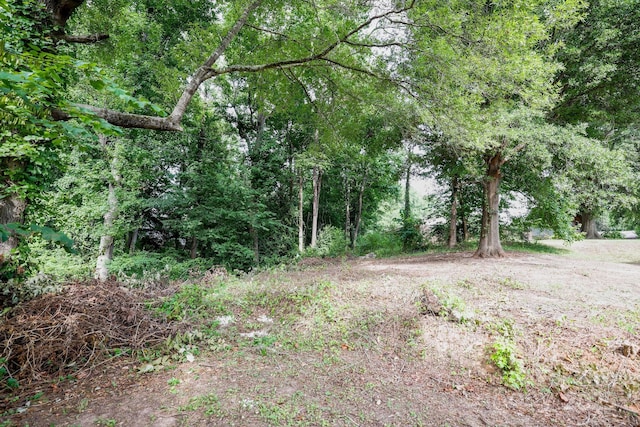 2518 Cove Creek Dr, Gastonia, NC 28056 - photo 16
