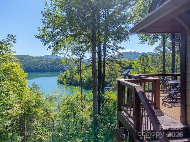 540 Rocky Bluff Dr, Bryson City, NC 28713 - photo 3