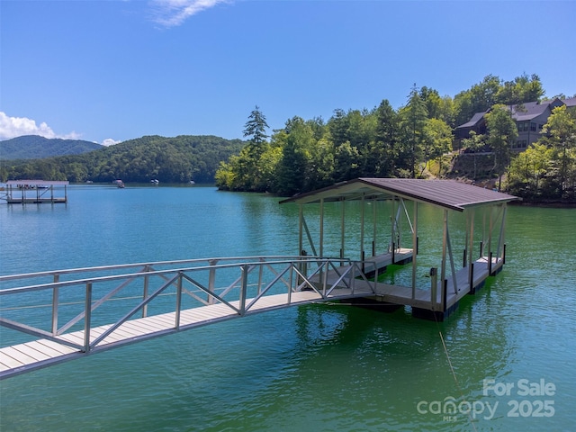 540 Rocky Bluff Dr, Bryson City, NC 28713 - photo 4