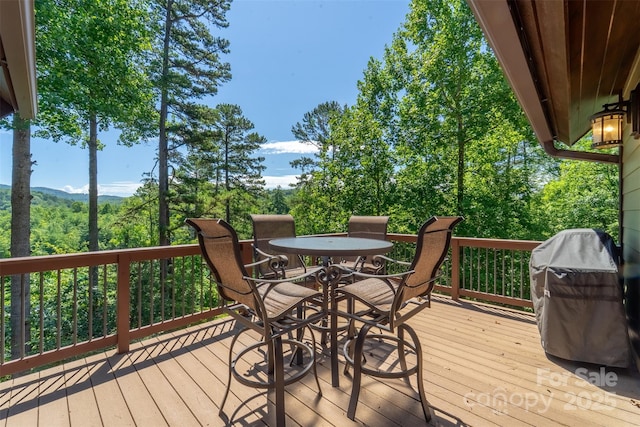 540 Rocky Bluff Dr, Bryson City, NC 28713 - photo 38
