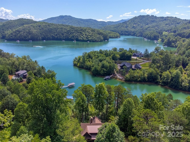540 Rocky Bluff Dr, Bryson City, NC 28713 - photo 40