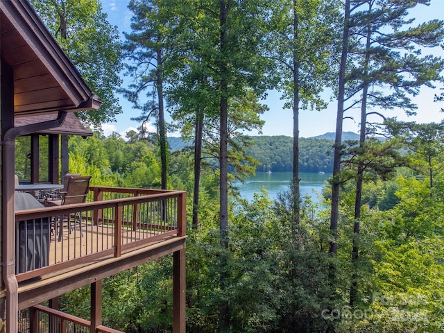 540 Rocky Bluff Dr, Bryson City, NC 28713 - photo 44