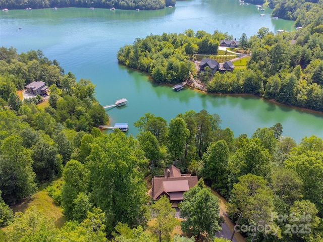 540 Rocky Bluff Dr, Bryson City, NC 28713 - photo 45