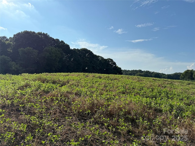 00 Hartsell Rd, Albemarle, NC 28001 - photo 6