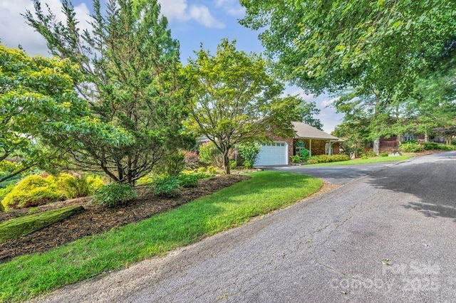 156 Circle Top Dr, Hendersonville, NC 28739 - photo 6