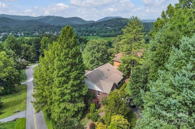 156 Circle Top Dr, Hendersonville, NC 28739 - photo 33